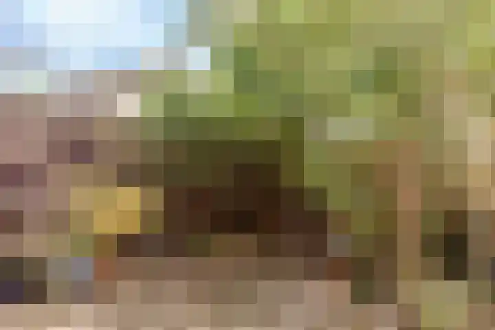 Volder 66 Hoorn thumbnail 32