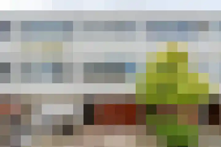 Volder 66 Hoorn thumbnail 5
