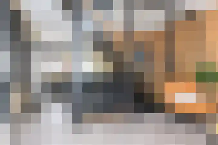 Volder 83 Hoorn thumbnail 19