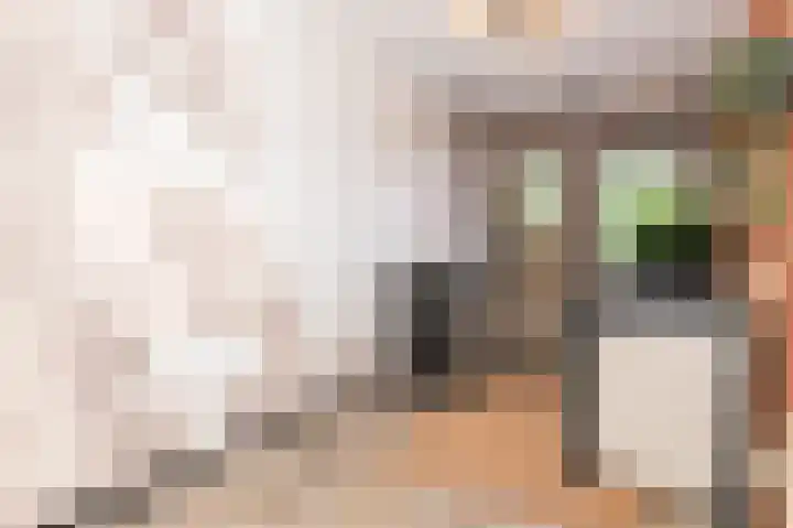 Volder 83 Hoorn thumbnail 34
