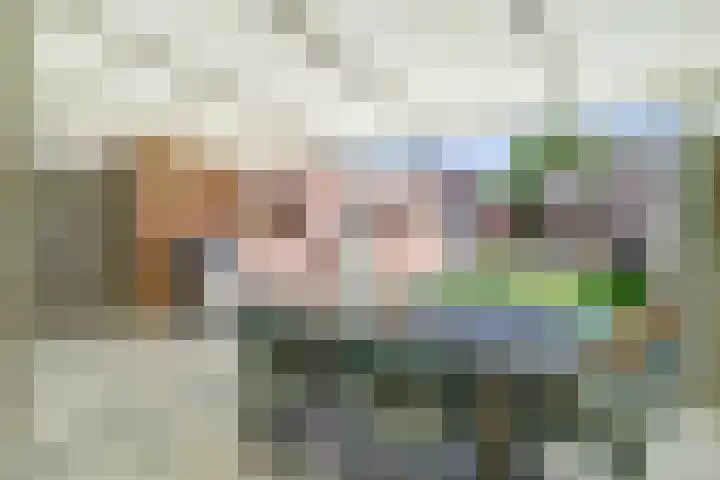 Volderstraat 20 Hoogeloon thumbnail 32