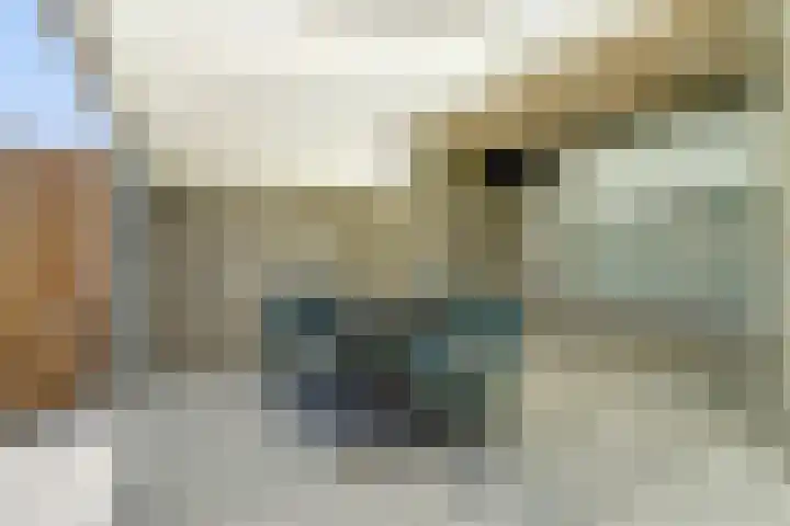 Volderstraat 20 Hoogeloon thumbnail 33