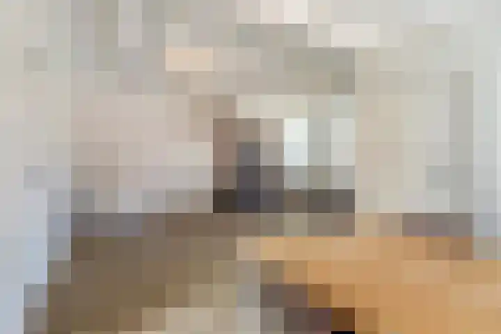 Volderstraat 20 Hoogeloon thumbnail 5