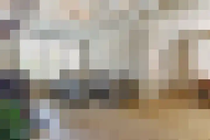 Volderstraat 20 Hoogeloon thumbnail 7