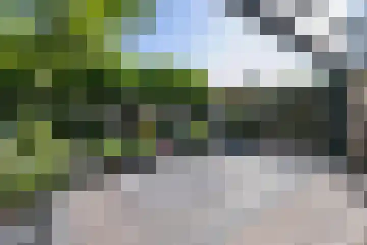 Volderstraat 3 Weert thumbnail 35