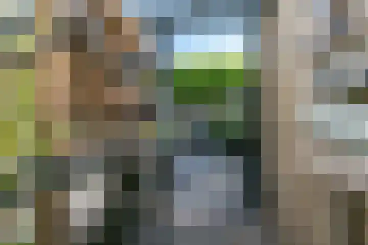 Volderstraat 3 Weert thumbnail 37
