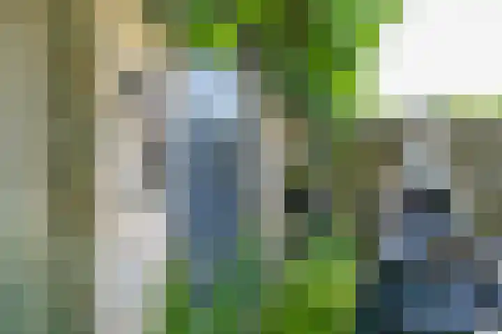 Volderstraat 3 Weert thumbnail 38