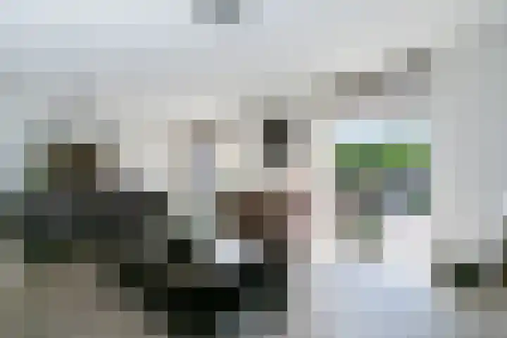 Volderstraat 3 Weert thumbnail 9