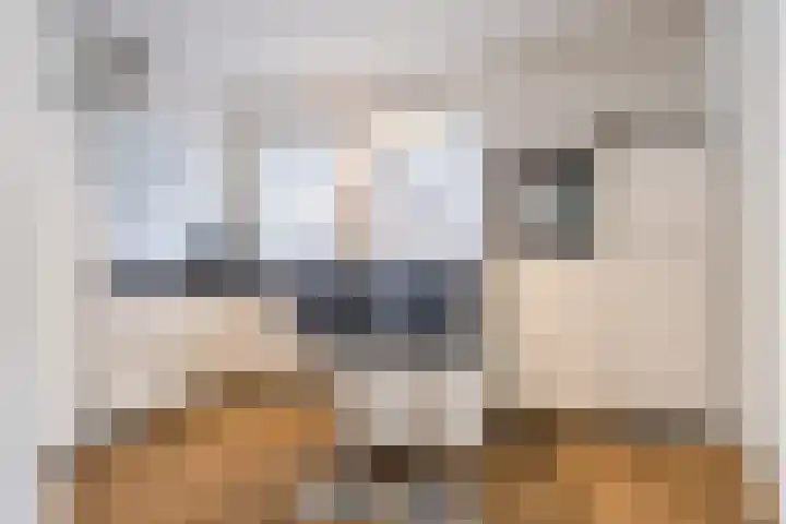 Volderstraat 8 Hoogeloon thumbnail 14
