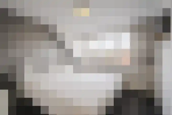 Volderstraat 8 Hoogeloon thumbnail 21