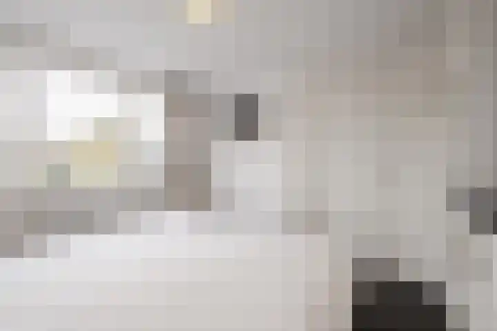 Volderstraat 8 Hoogeloon thumbnail 22