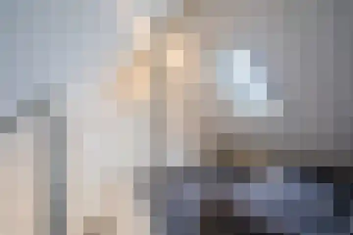 Volderstraat 8 Hoogeloon thumbnail 25
