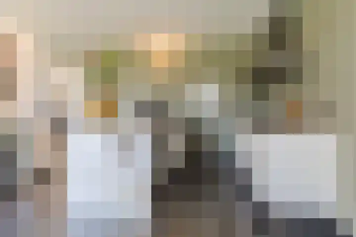 Voldijkje 8 Goirle thumbnail 11