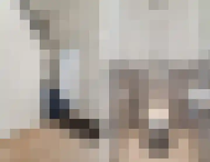 Voldijkje 8 Goirle thumbnail 21