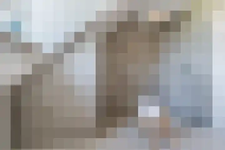 Voldijkje 8 Goirle thumbnail 28