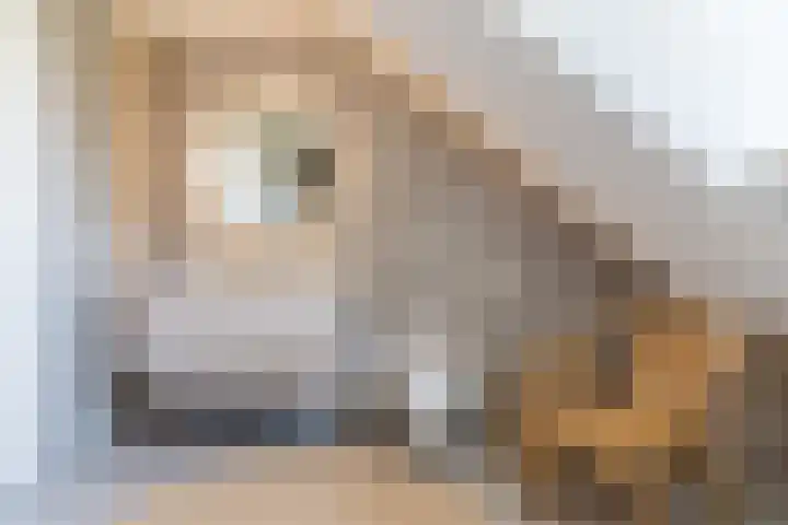 Voldijkje 8 Goirle thumbnail 29