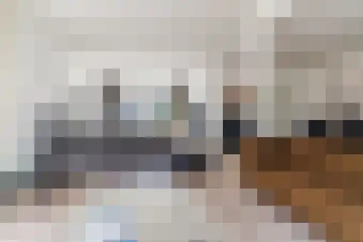 Voldijkje 8 Goirle foto 3