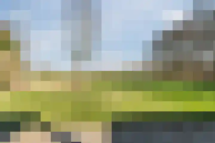Voldijkje 8 Goirle thumbnail 35