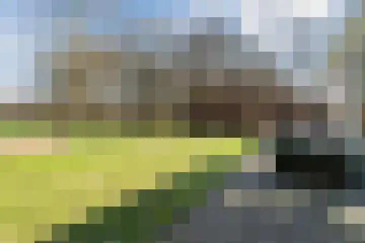Voldijkje 8 Goirle thumbnail 39