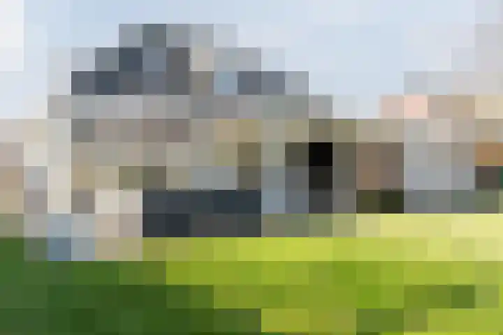 Voldijkje 8 Goirle thumbnail 41