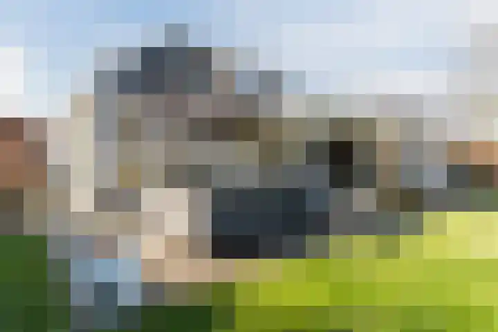 Voldijkje 8 Goirle thumbnail 42
