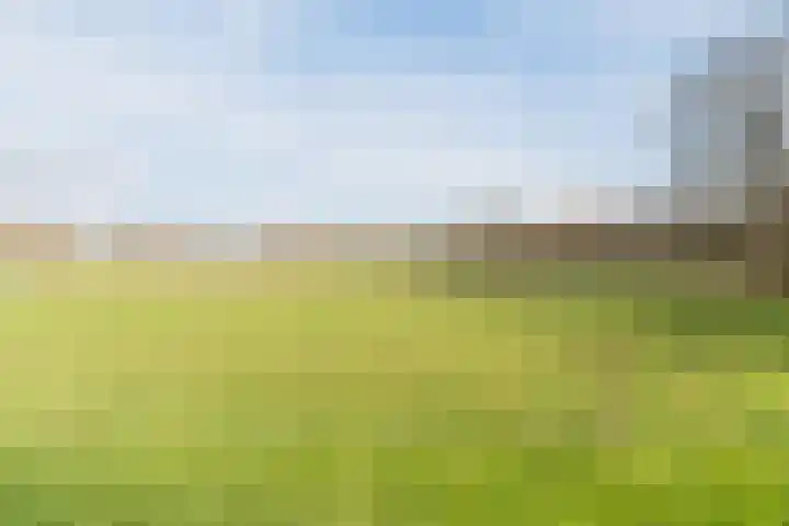 Voldijkje 8 Goirle thumbnail 43