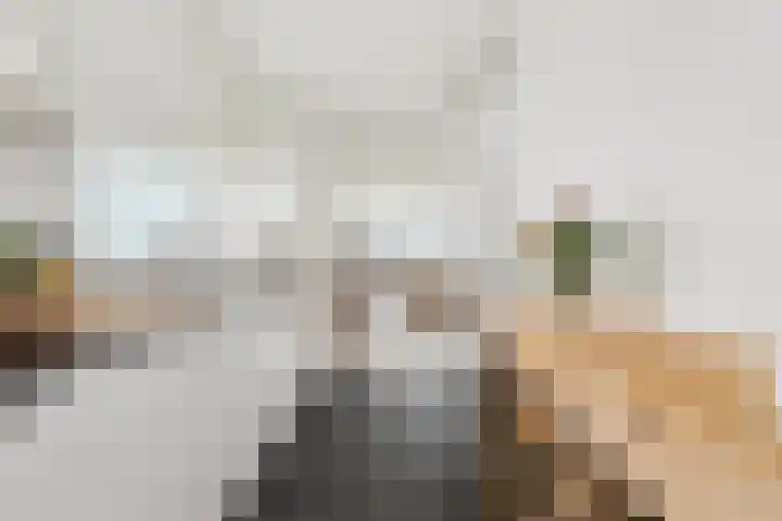 Volendamlaan 868 Den Haag thumbnail 12