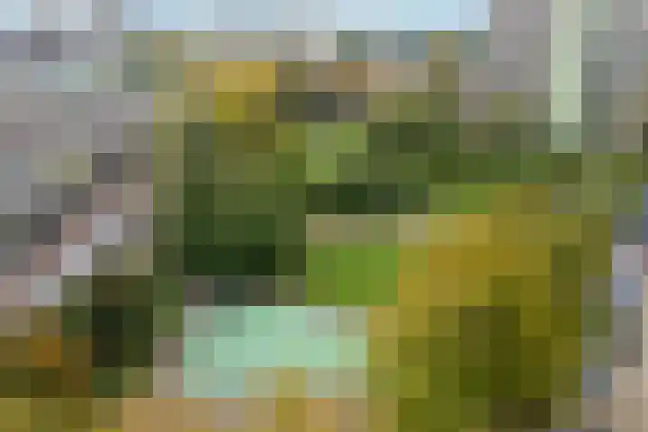 Volendamlaan 868 Den Haag thumbnail 24