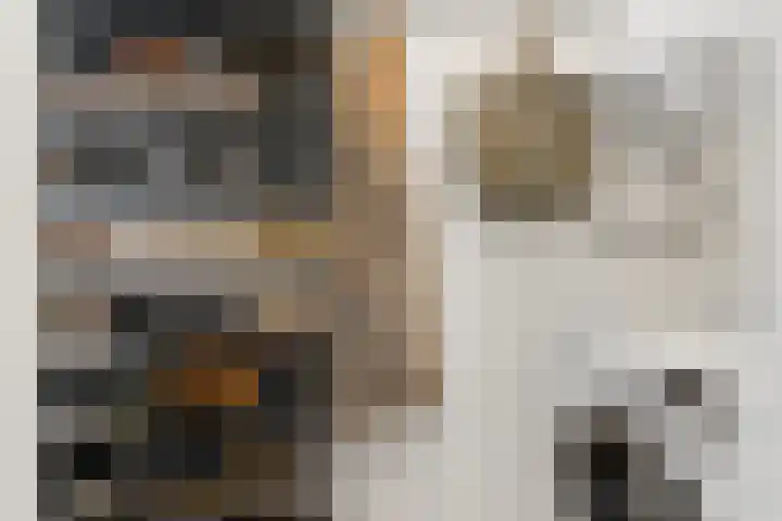 Volendamlaan 868 Den Haag thumbnail 6