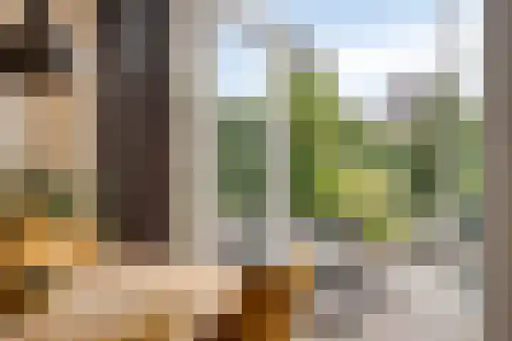 Volkelstraat 4 Tilburg thumbnail 19