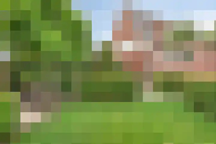 Volkelstraat 4 Tilburg thumbnail 47