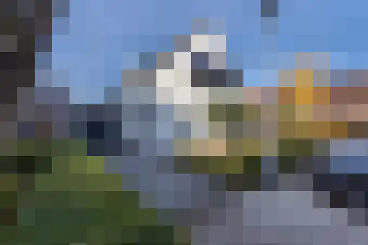 Volkerak 10 en Tilburg