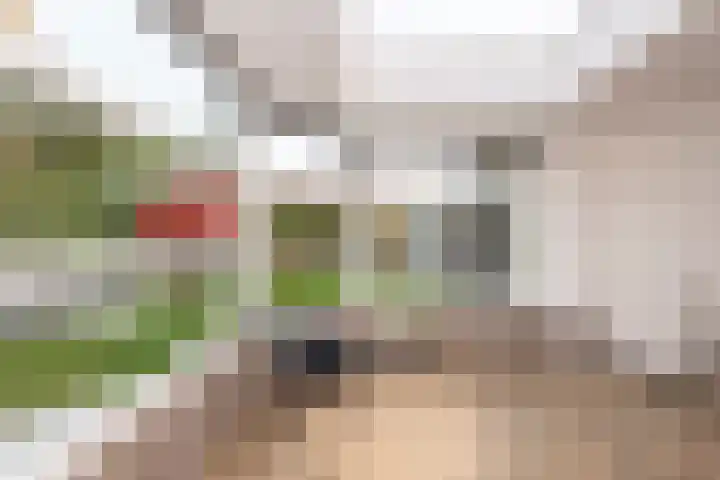 Volkerak 10 Tilburg thumbnail 29
