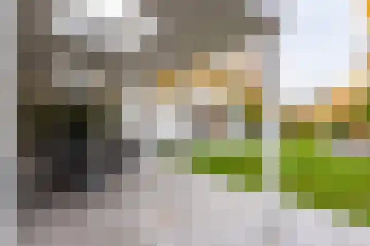 Volkerak 10 Tilburg thumbnail 46