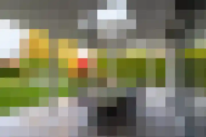 Volkerak 10 Tilburg thumbnail 47