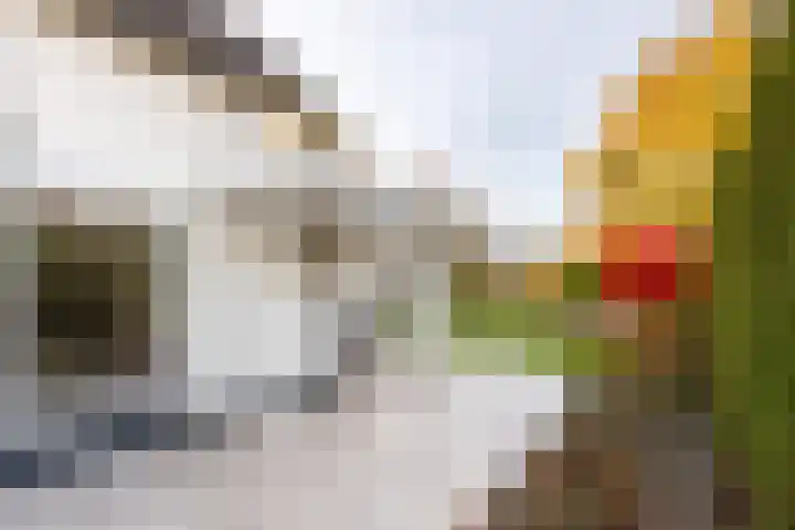 Volkerak 10 Tilburg thumbnail 58