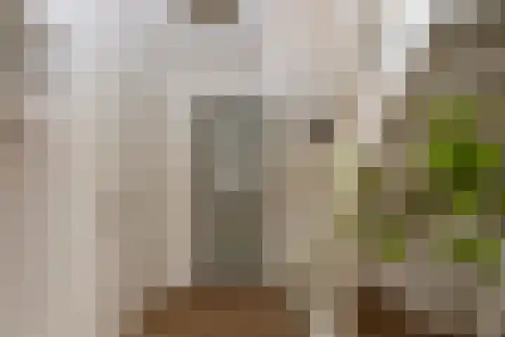Volkerak 10 Tilburg thumbnail 6