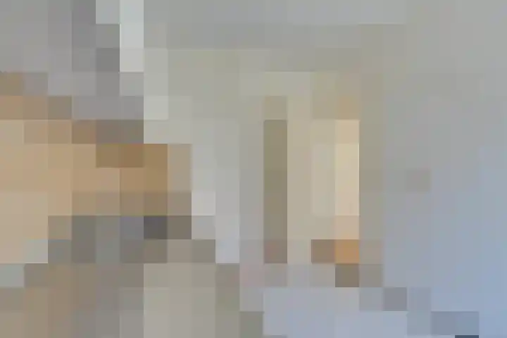 Volkerak 29 Alkmaar thumbnail 16