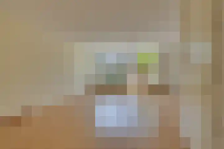 Volkerak 29 Alkmaar thumbnail 6