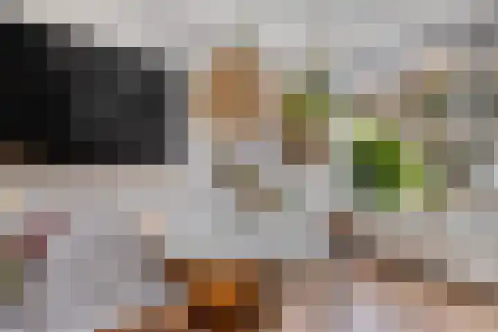 Volkerak 46 Pijnacker thumbnail 15