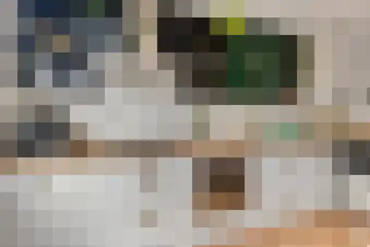 Volkerak 46 Pijnacker thumbnail 18