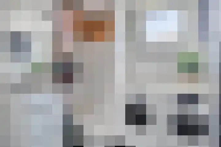 Volkerak 46 Pijnacker thumbnail 22