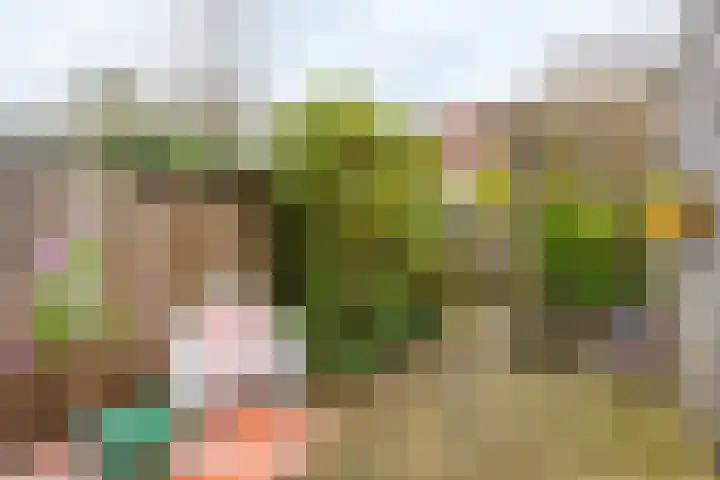 Volkerak 46 Pijnacker thumbnail 32