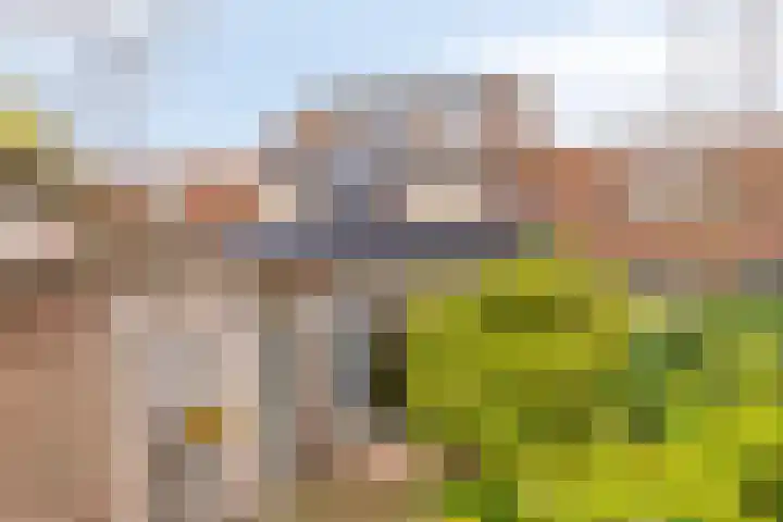 Volkerak 46 Pijnacker thumbnail 33