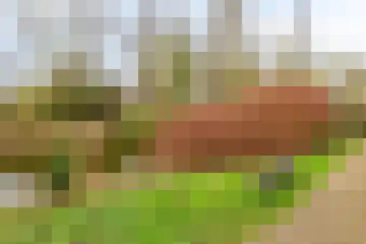 Volkerak 46 Pijnacker thumbnail 35