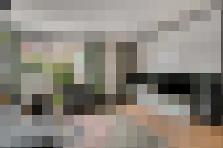 Volkerak 46 Pijnacker thumbnail 7