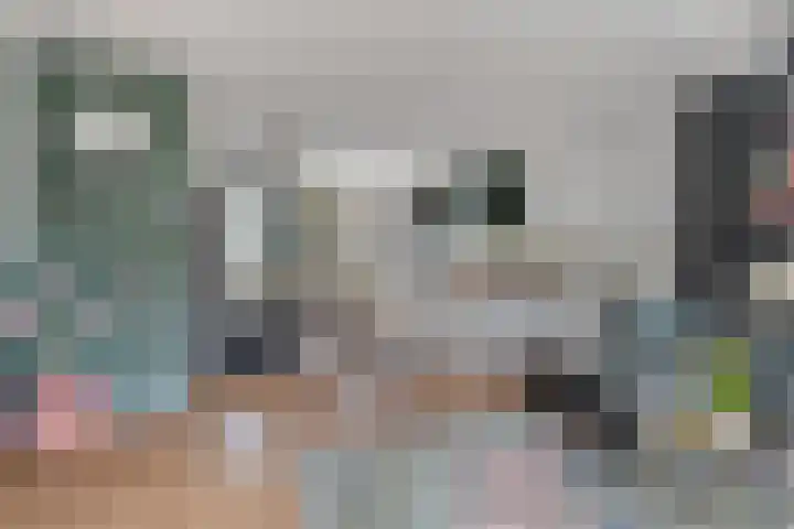Volkerak 46 Pijnacker thumbnail 9
