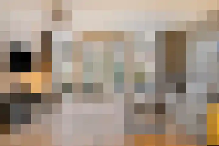 Volkerak 6 Alkmaar thumbnail 17