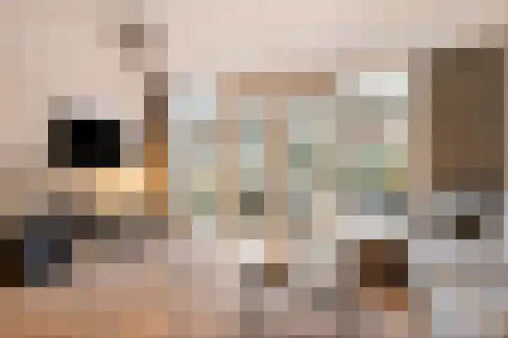Volkerak 6 Alkmaar thumbnail 18