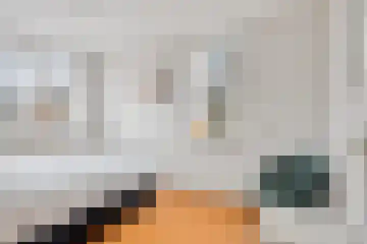 Volkerak 6 Alkmaar thumbnail 27